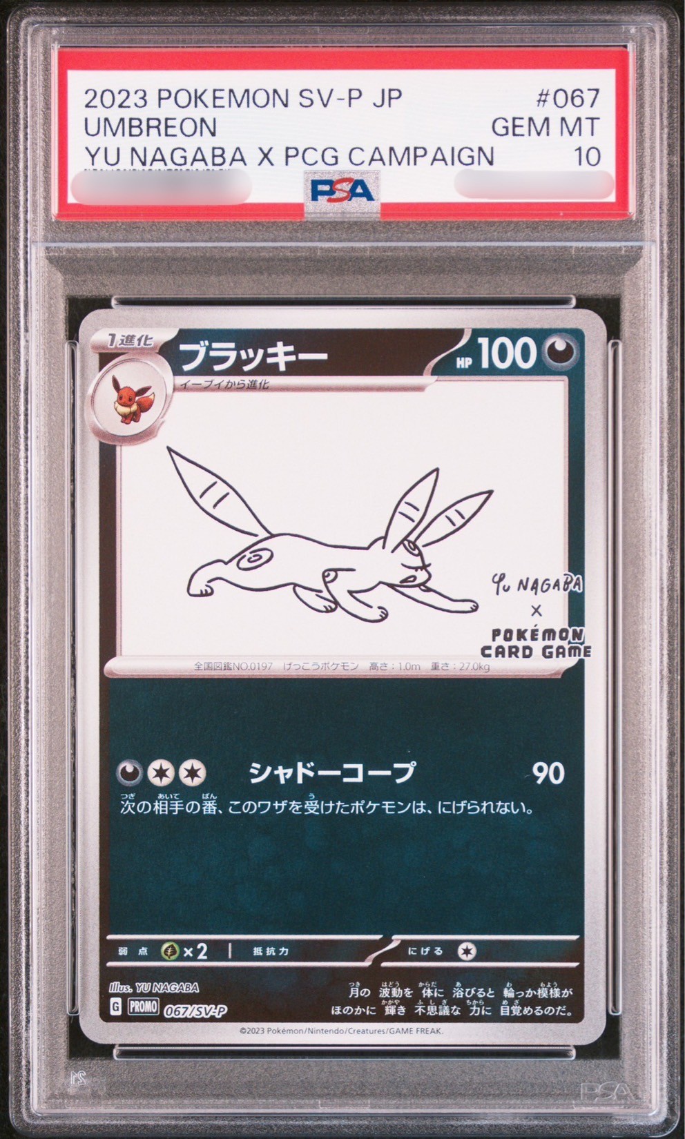 CardStock